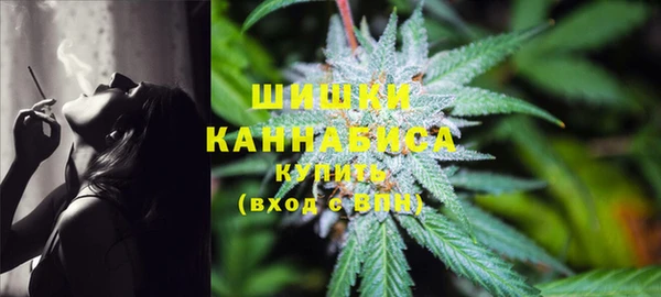 ГАЛЛЮЦИНОГЕННЫЕ ГРИБЫ Армянск