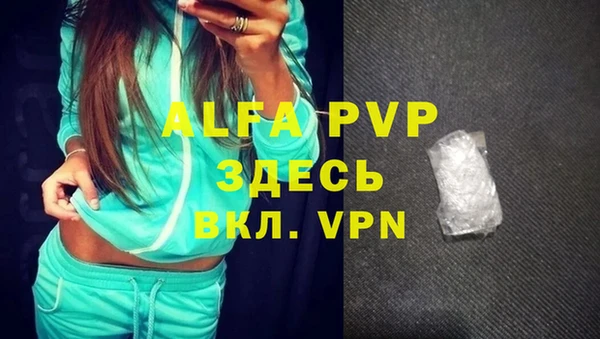 твердый Арсеньев